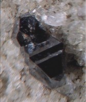 /album/galerie-photos/le-moneste-anatase-9704-mod2-jpg1/